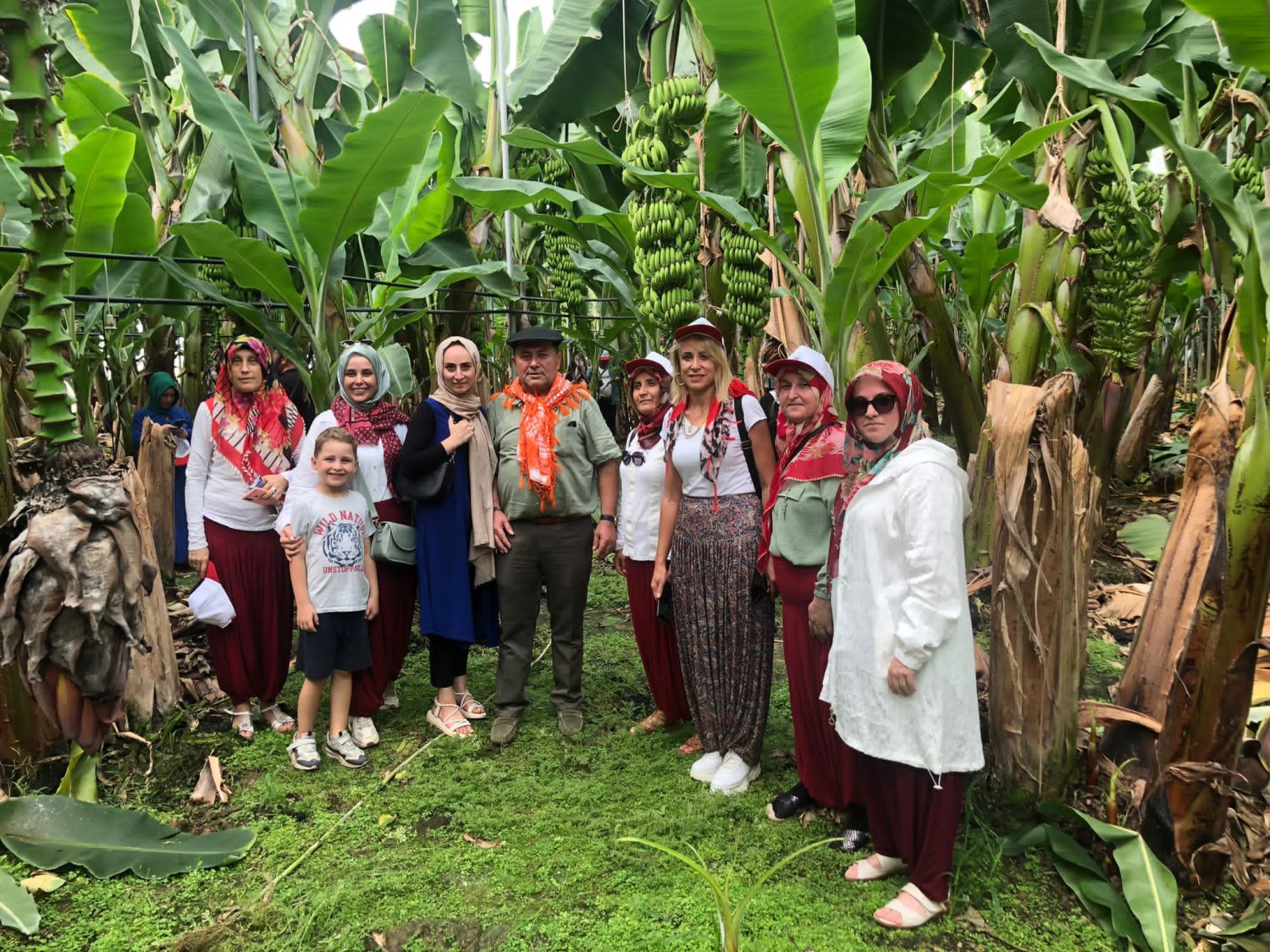 İzmitli Kadın Çiftçiler Silifke, Anamur'da Gelişen Tarım Çeşitlerini İnceledi