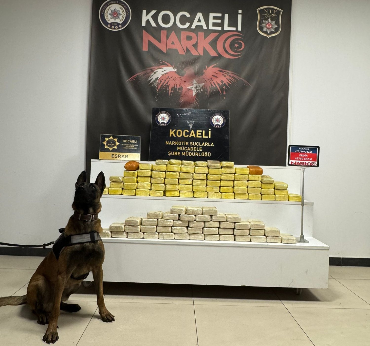 Kocaeli Polisi Zehir Tacirlerine Göz Açtırmadı - Görsel 2