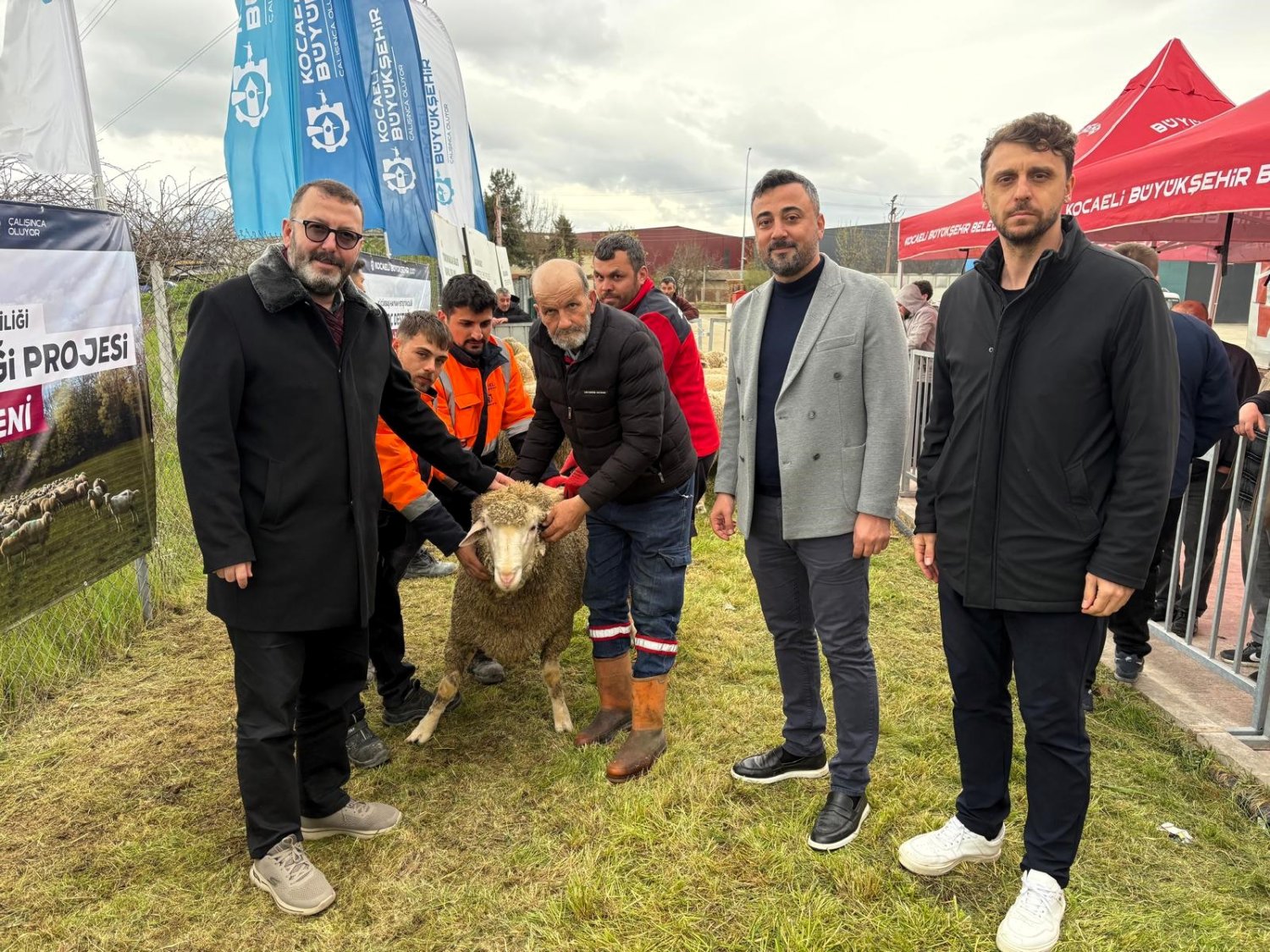 Büyükşehir’den Hayvancılığa Damızlık Koç Desteği