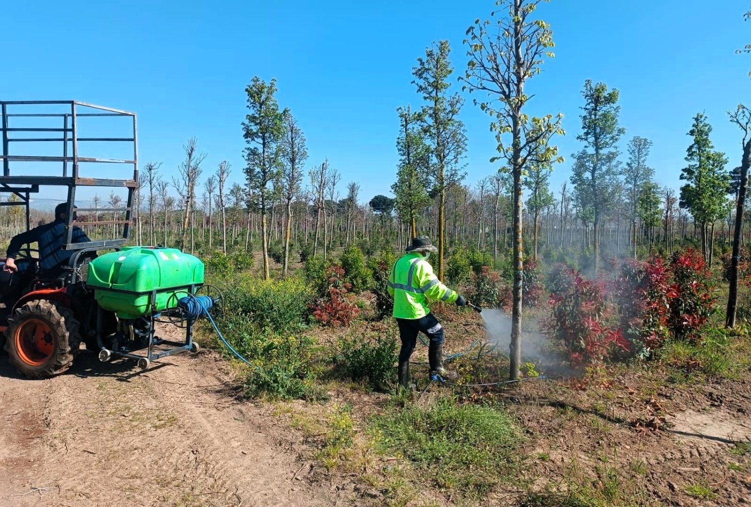 Fidanlara Koruyucu Müdahale