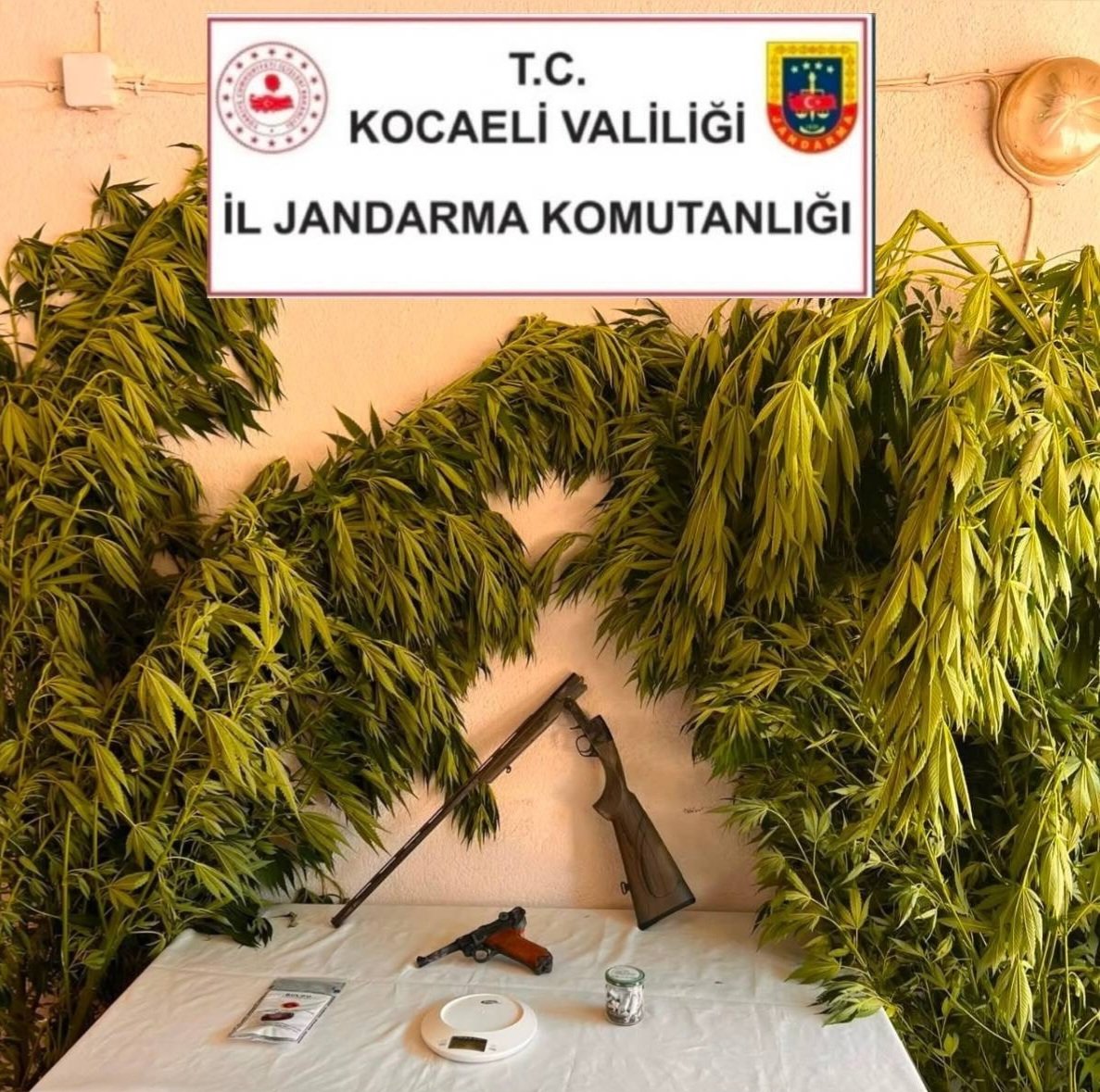 Kartepe'de 3 Adrese Eş Zamanlı Baskın