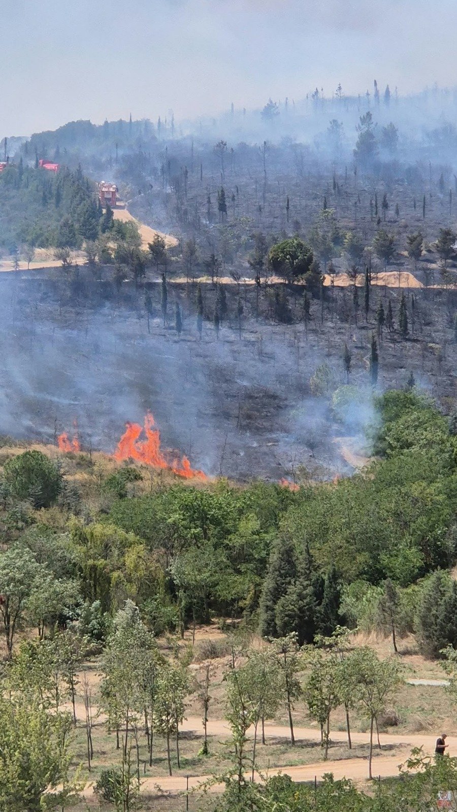 Tavşancıl’da Korku Dolu Anlar! Alevler Evlerin Dibine Kadar Geldi